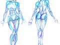 Female_Anatomy_Reference_1_by_naiser.jpg